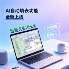 恒智天成AI自动填表功能（积分充值）