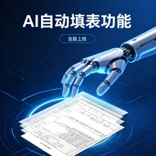 恒智天成AI自动填表功能（积分充值）
